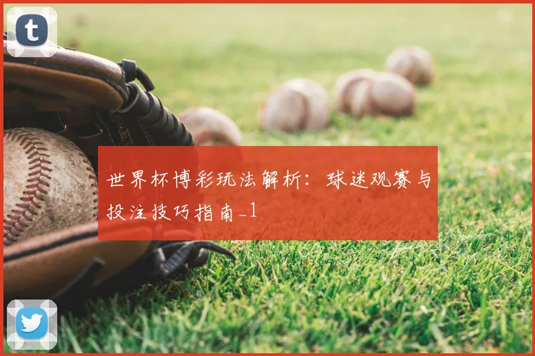 世界杯博彩玩法解析:球迷观赛与投注技巧指南_1