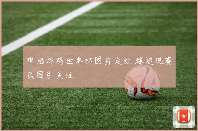 啤酒炸鸡世界杯图片走红 球迷观赛氛围引关注