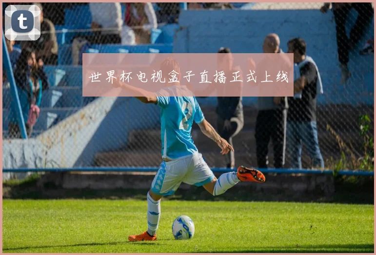 世界杯电视盒子直播正式上线