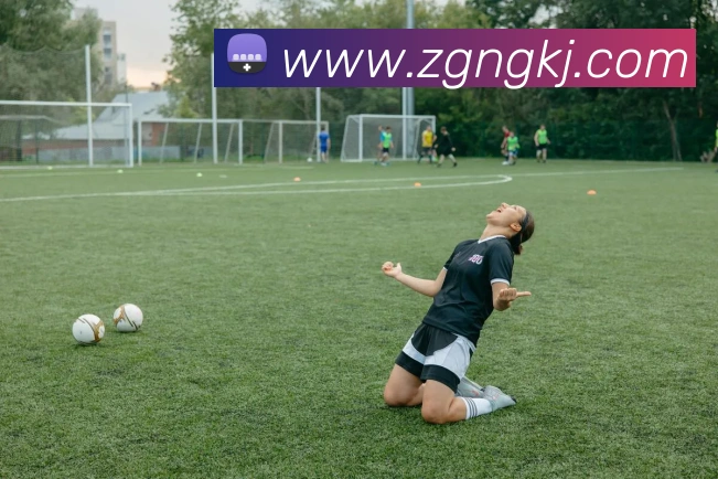 世界杯官网线上平台平台生态图